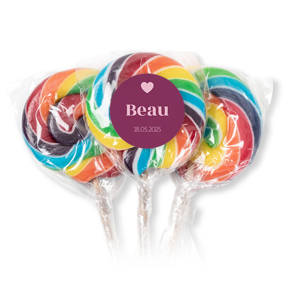 Sucettes multicolores (lot de 12) Sucettes multicolores (lot de 12)