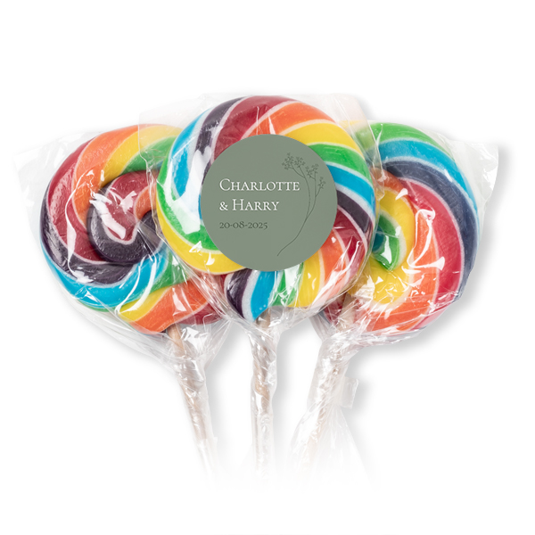 Lolly regenboog (set van 12) Lolly regenboog (set van 12)