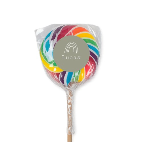 Sucettes multicolores (lot de 6)