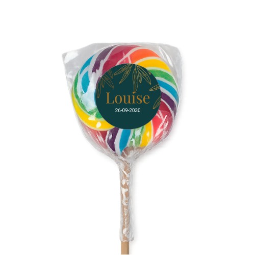 Sucettes multicolores (lot de 6)