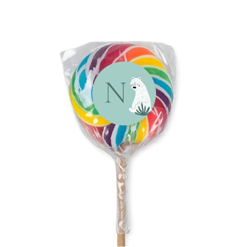 Lolly regenboog (set van 6)