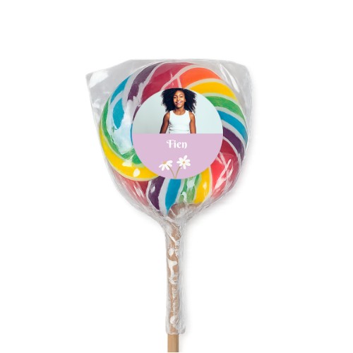 SpringFlowerDaisy SpringFlowerDaisy