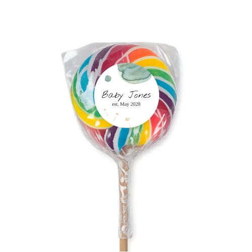 Lolly regenboog (set van 6)