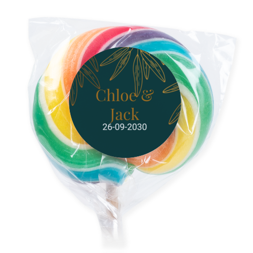 Lollipops Rainbow - set of 6