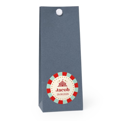 Circus Ticket Circus Ticket