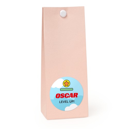 Snoepzakjes roze rond set van 12