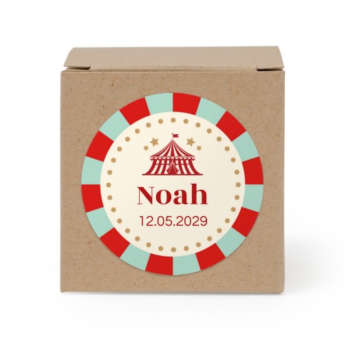 Circus Ticket Circus Ticket