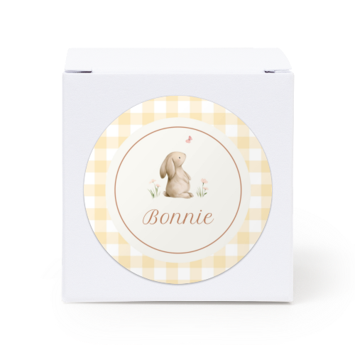 Cute Bunny Vichy