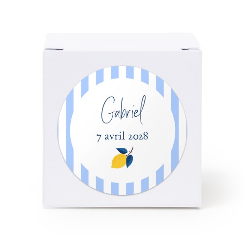 Lemon Stripes Party Lemon Stripes Party