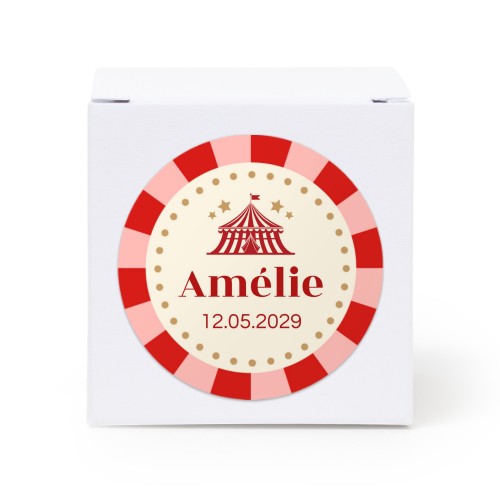 Circus Ticket Circus Ticket