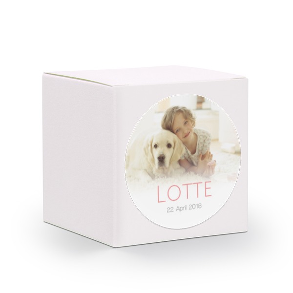 Boxes White Boxes White