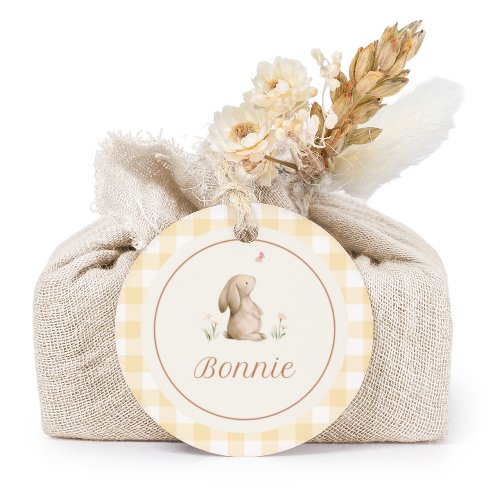 Cute Bunny Vichy