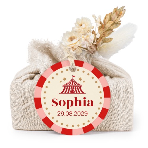 Circus Ticket Circus Ticket