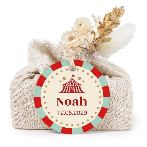 Circus Ticket Circus Ticket