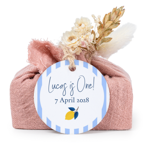 Pink cotton wrapped soaps with round label (6 pcs) Pink cotton wrapped soaps with round label (6 pcs)