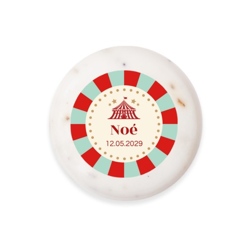 Circus Ticket Circus Ticket