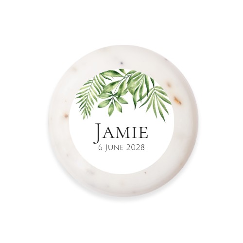 Tropical Plant Frame