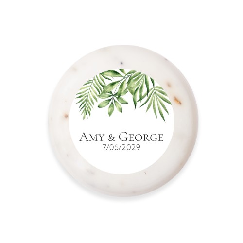 Tropical Plant Frame