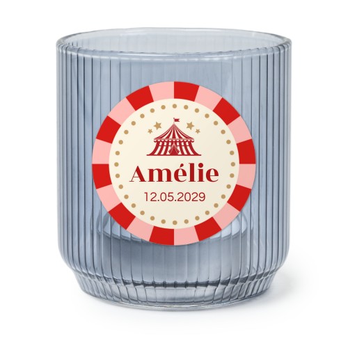 Circus Ticket Circus Ticket