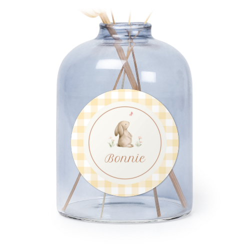 Cute Bunny Vichy