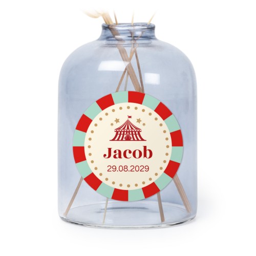 Circus Ticket Circus Ticket