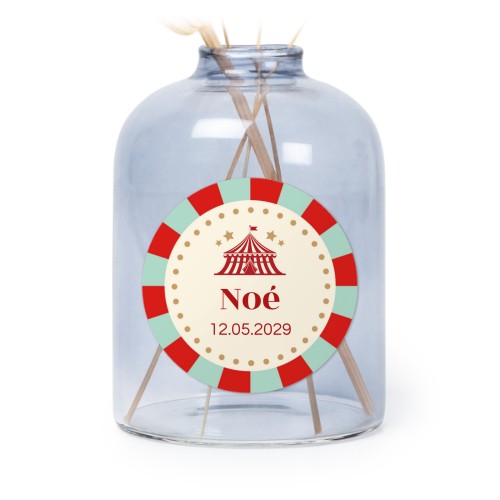 Circus Ticket Circus Ticket