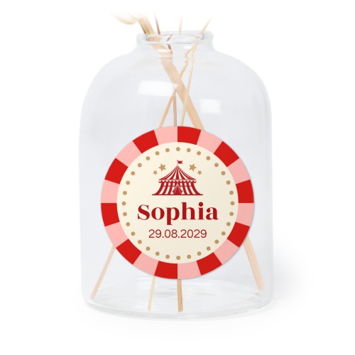 Circus Ticket Circus Ticket