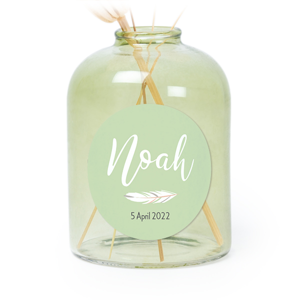 RaccoonArrowTO RaccoonArrowTO