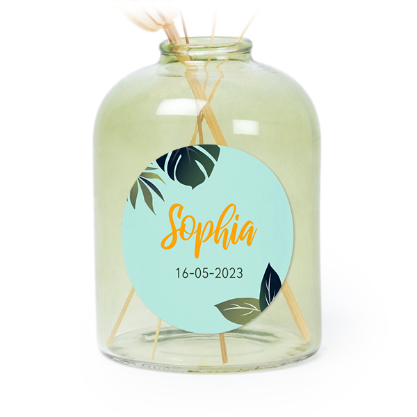 TropicalToucanLemonTO TropicalToucanLemonTO