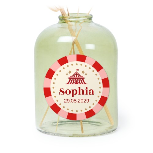 Circus Ticket Circus Ticket