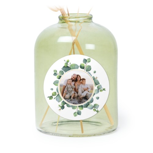 Eucalyptus Leaves Eucalyptus Leaves