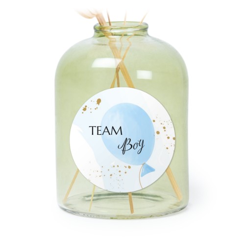 Gender Reveal Balloons Gender Reveal Balloons