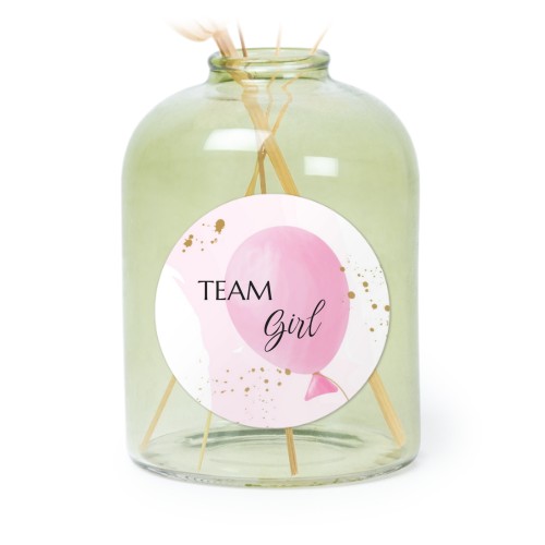 Gender Reveal Balloons Gender Reveal Balloons