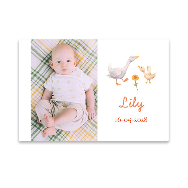 Stickers liggend 6 x 9 cm - Set van 24 Stickers liggend 6 x 9 cm - Set van 24