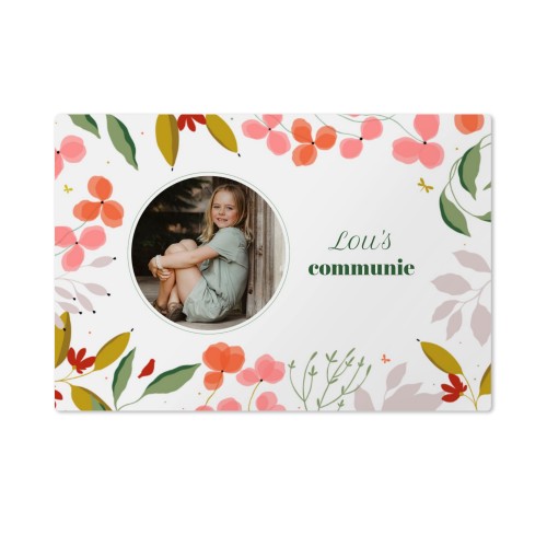 Stickers liggend 6 x 9 cm - Set van 24