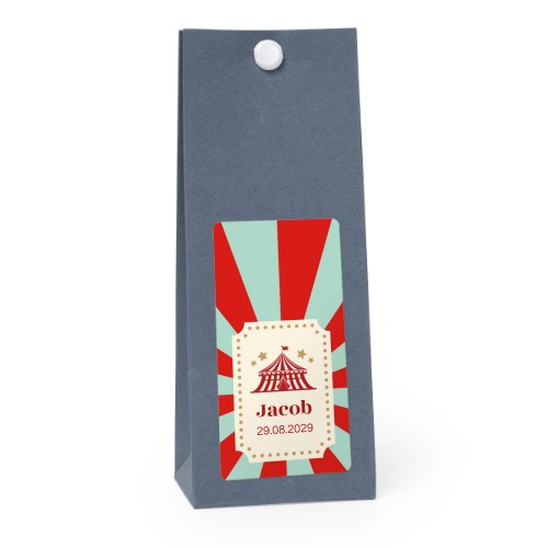 Circus Ticket Circus Ticket