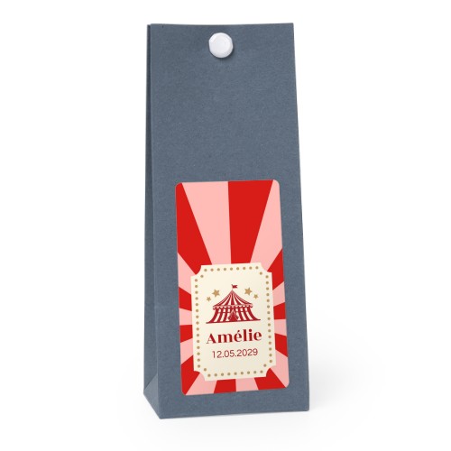 Circus Ticket Circus Ticket