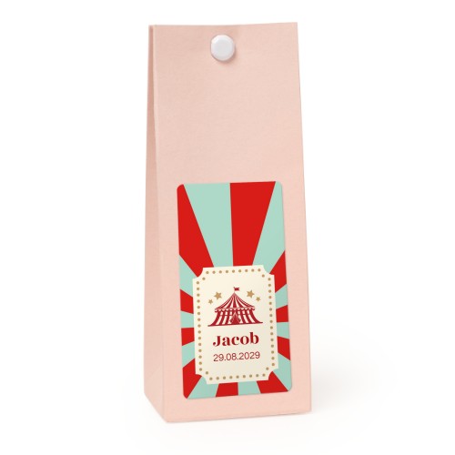 Circus Ticket Circus Ticket