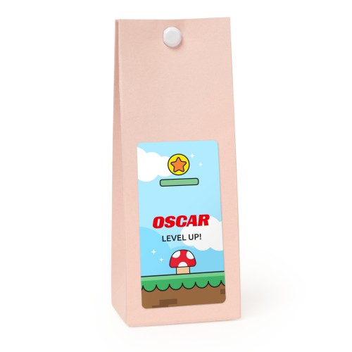 Sachet confiseur rectangle rose lot de 12