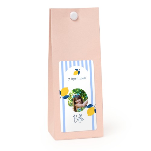 Rosa rechteckige Geschenktüte - 12 Stk. 