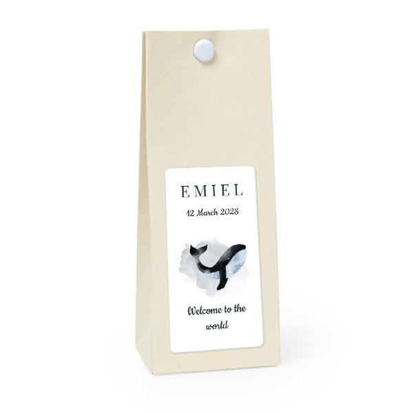 Sachet confiseur rectangle vanille lot de 12