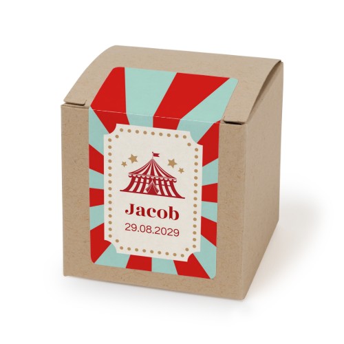 Circus Ticket Circus Ticket