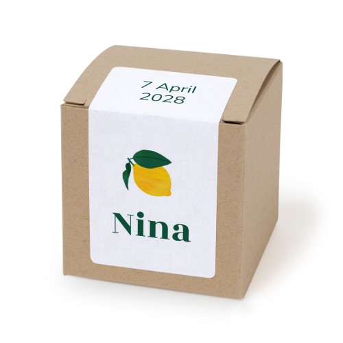 Paper box beige rectangular sticker - set of 24