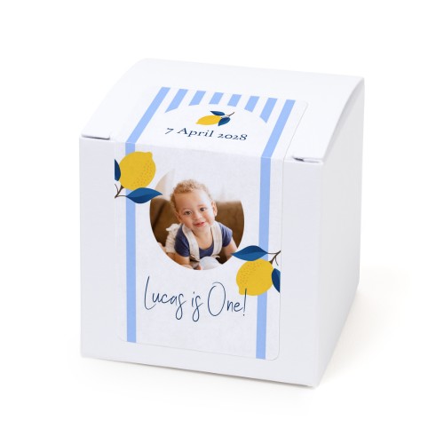 Lemon Stripes Party Lemon Stripes Party