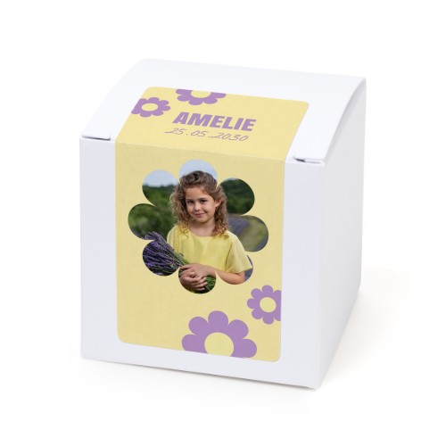 Daisy Shape Daisy Shape