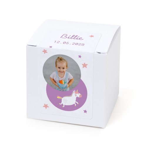 Flying Unicorn - Text Only