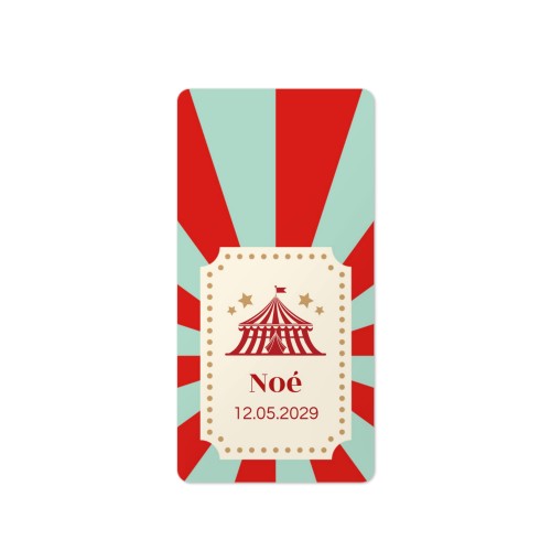 Circus Ticket Circus Ticket