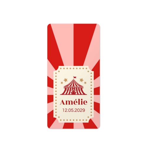 Circus Ticket Circus Ticket