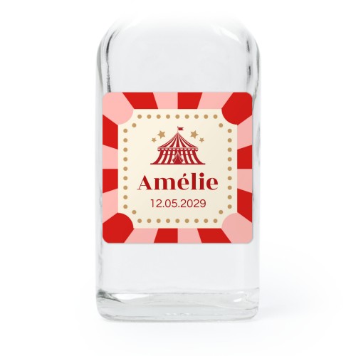 Circus Ticket Circus Ticket