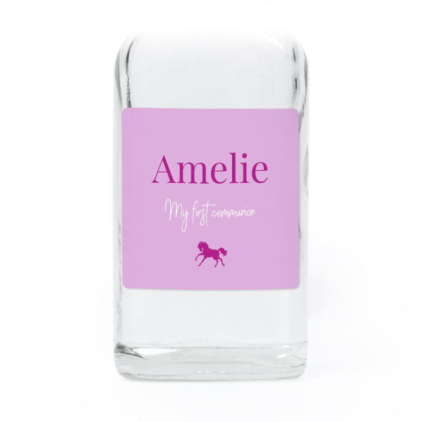 Colourful Horse Name Colourful Horse Name
